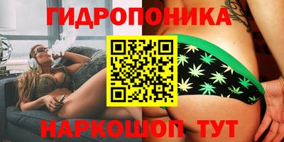 бошки Тара