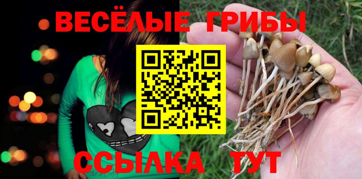 Советск  как найти наркотики  Вход с VPN  Псилоцибиновые грибы мухоморы 