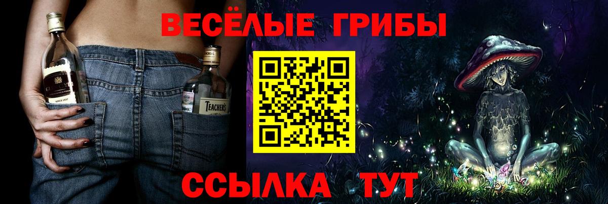 Галлюциногенные грибы Psilocybine cubensis Советск